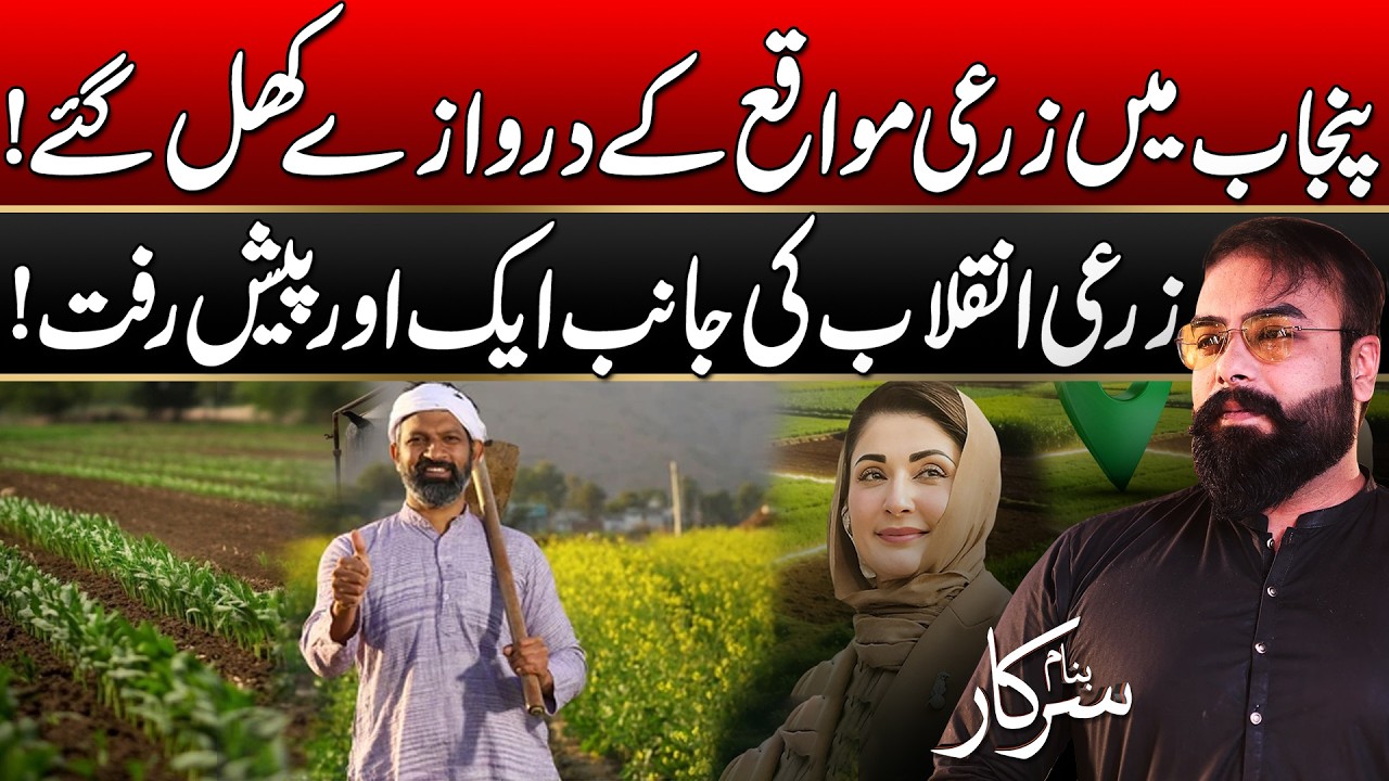 Punjab Agriculture Update | New Farming Opportunities Announced | Banam Sarkar | 08 Feb 2026 | Rohi