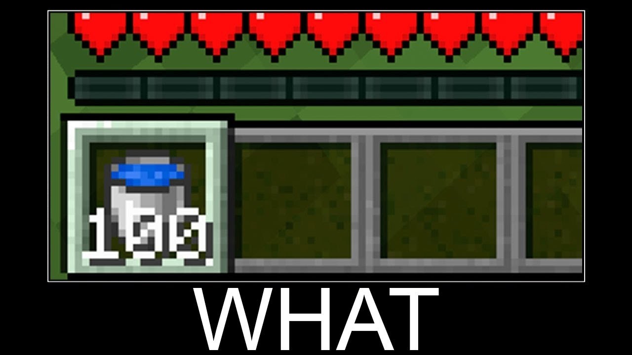 Minecraft WAIT WHAT #2313