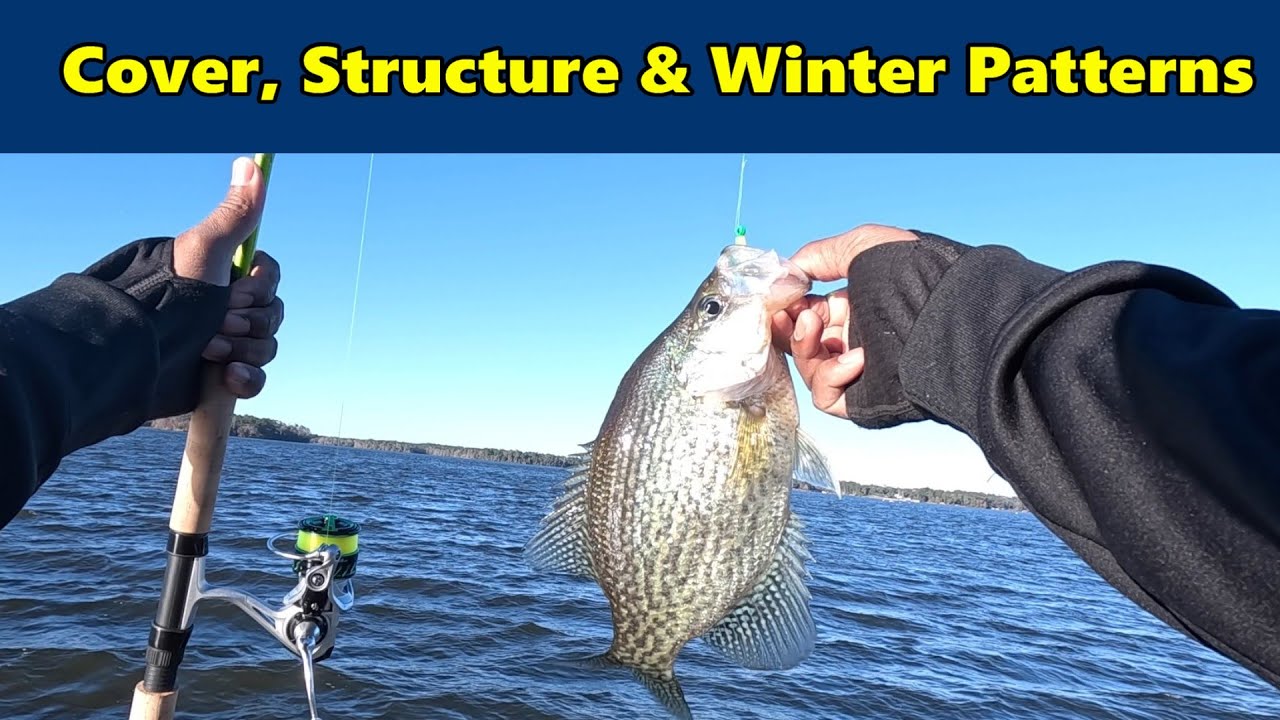 Понимание укрытий, структуры дна и особенностей зимней рыбалки #acccrappiestix #crappiefishing #l...