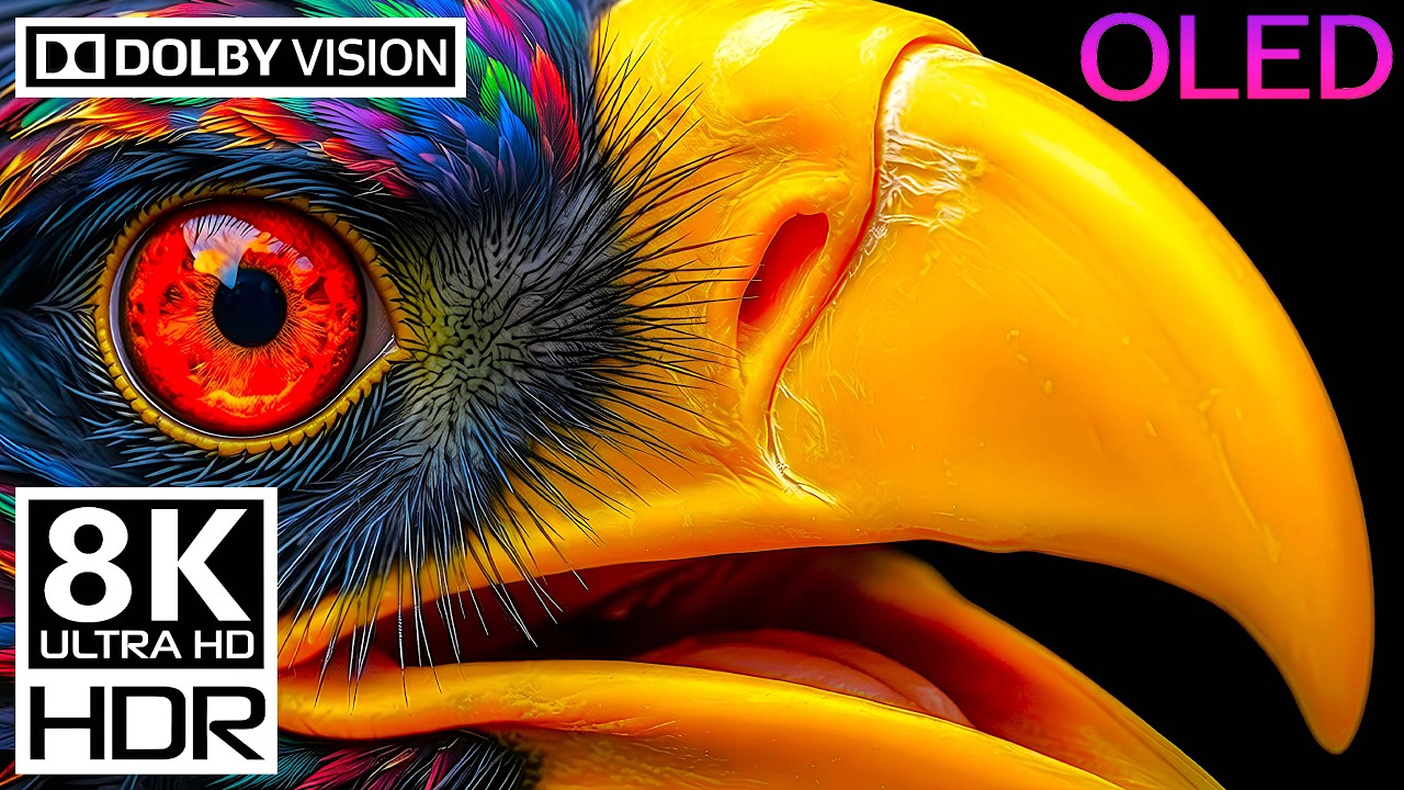 8K HDR 120FPS Dolby Vision | Golden Hour Wildlife Animals