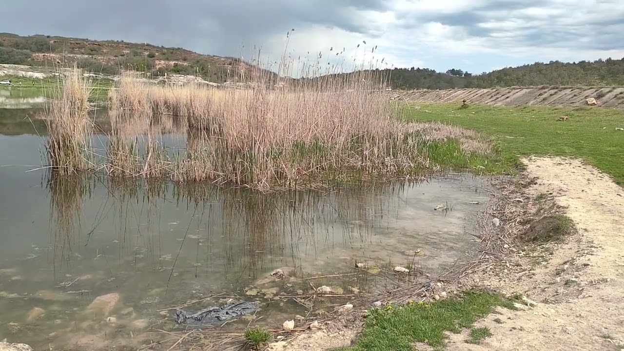 BALTA LIMANU DIN DOBROGEA