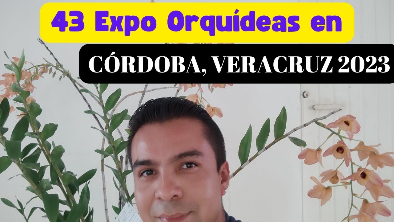 43 Expo Orquídeas en Córdoba, Veracruz 2023