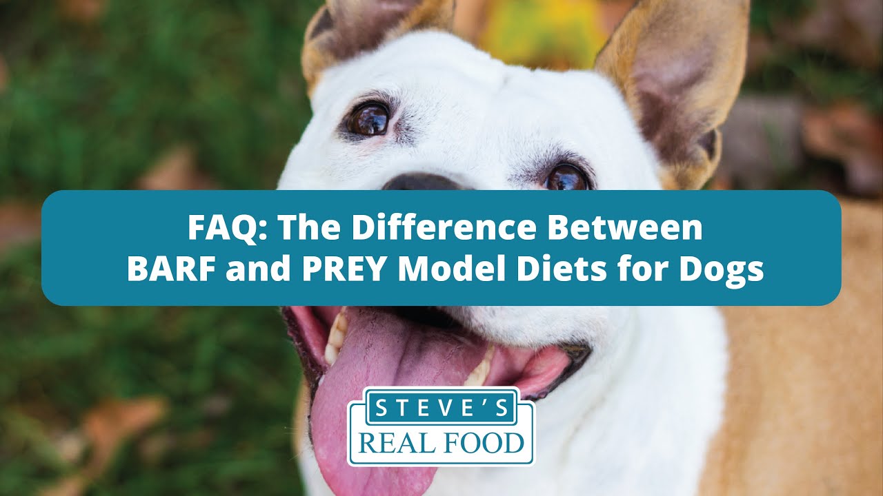 The Difference Between BARF and PREY Model Diets for Dogs - Steve's Real Food