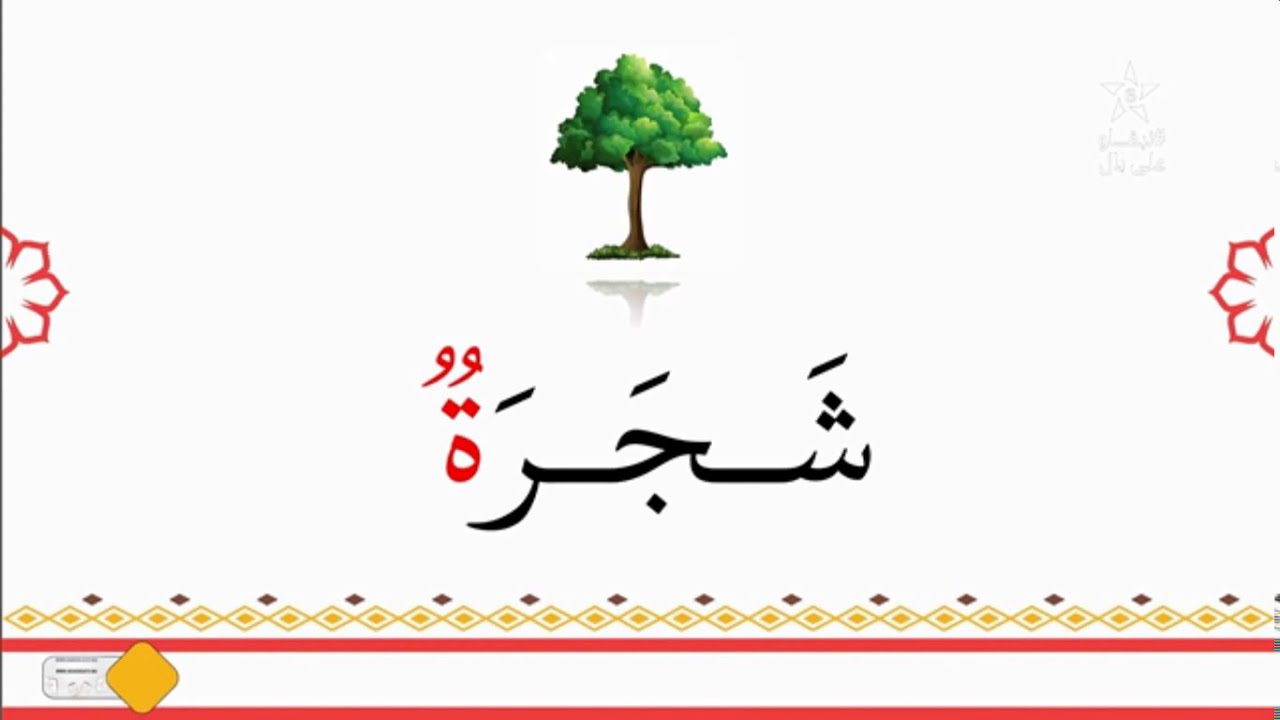 محو الأمية بالمساجد - المستوى الأول - الحلقة الرابعة عشر(14)