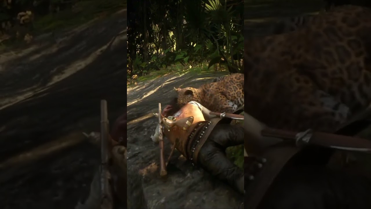 Cuidado com a ON&Ccedil;A PINTADA Cowboy! Assista inteiro aqui:  