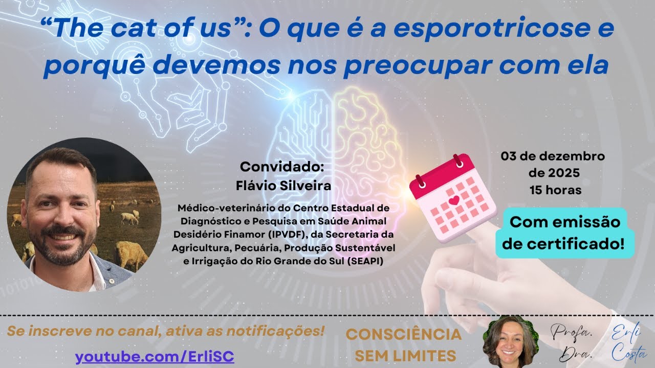 “The cat of us” O que é a esporotricose e porquê devemos nos preocupar com ela