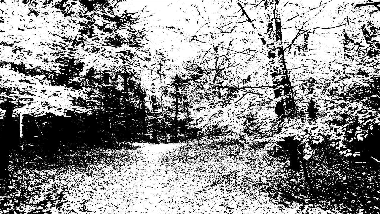 Trixcis - The Forgotten Path - Soft, Dark Piano Music