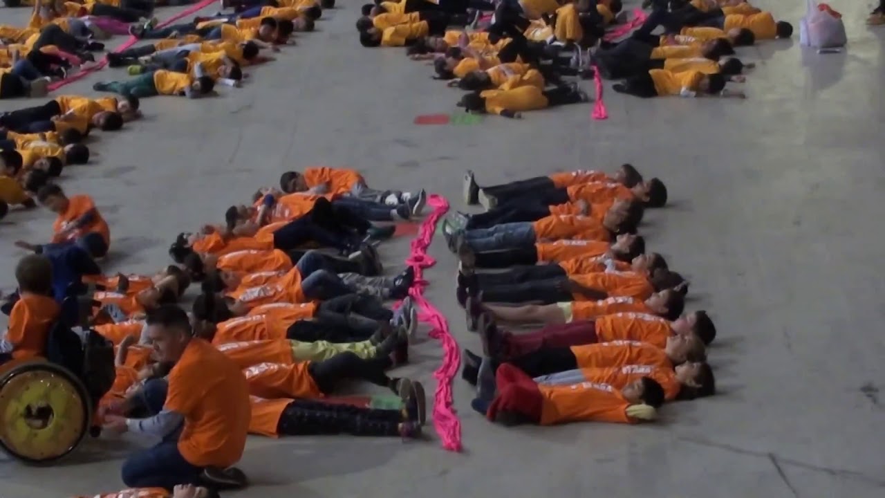 Dansa Ara 2n B 2018 Escola Auró