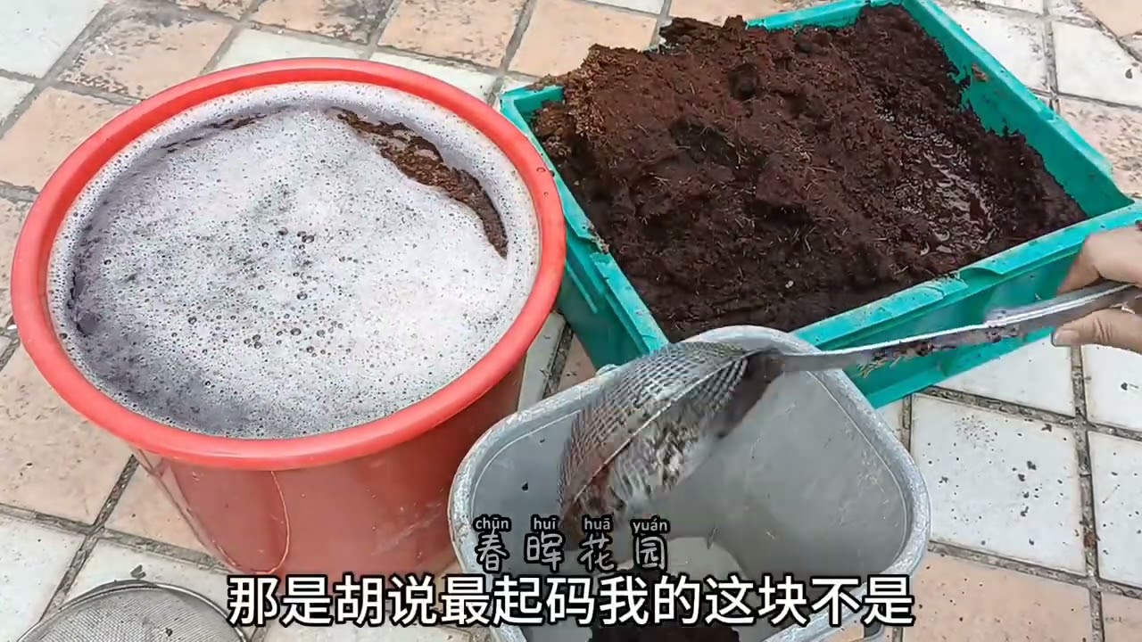 椰糠泡發後能直接用來栽種嗎？看完這視頻可讓你避坑