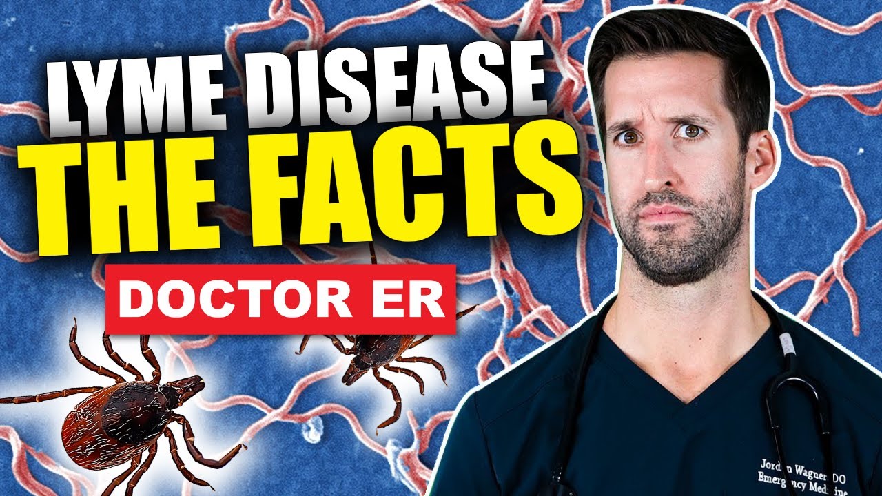 What Is Lyme Disease? Signs and Symptoms of Untreated Lyme Disease in Humans | Doctor ER