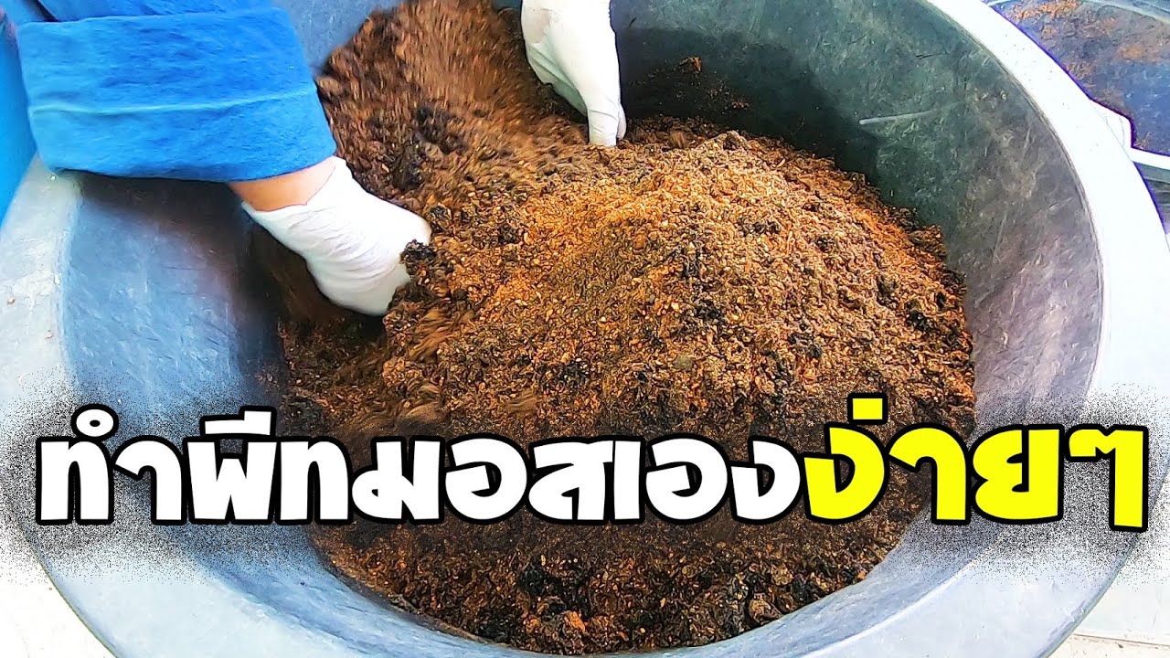 การปรุงดินให้ใกล้เคียงพีทมอส แบบไม่ต้องใช้ดิน