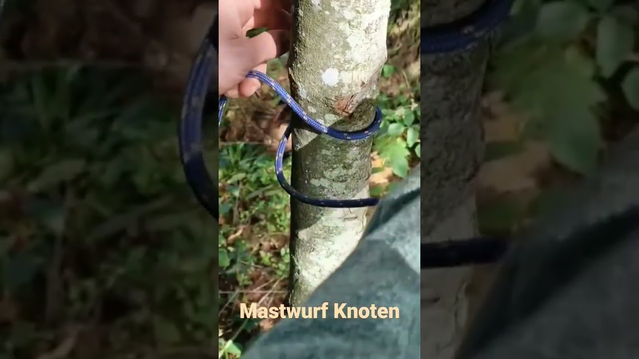 Der Mastwurf am Baum angeschlagen