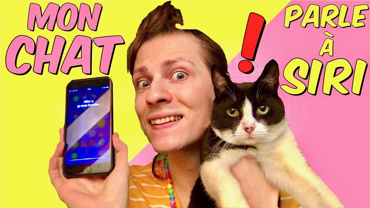 MON CHAT PARLE À SIRI ! NADEGE CANDLE