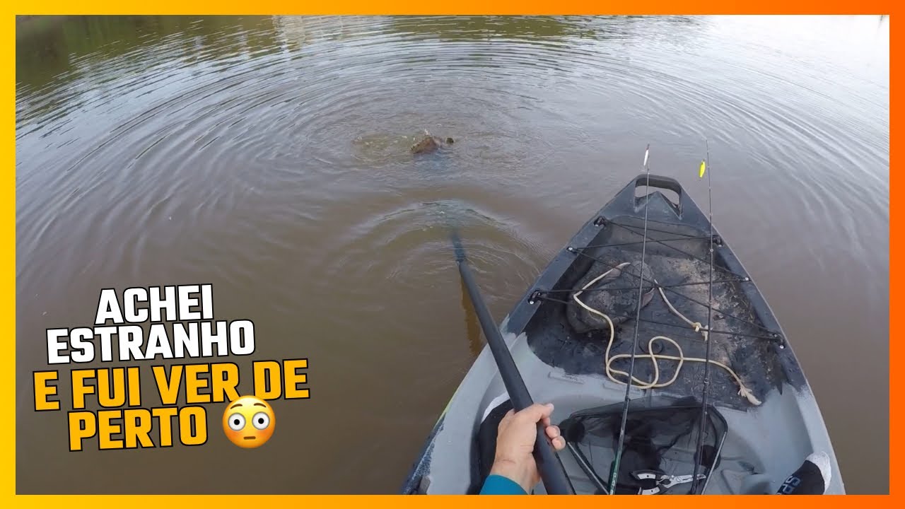 Percebi algo se batendo no meu da represa e fui ver de perto o que estava acontecendo!! 