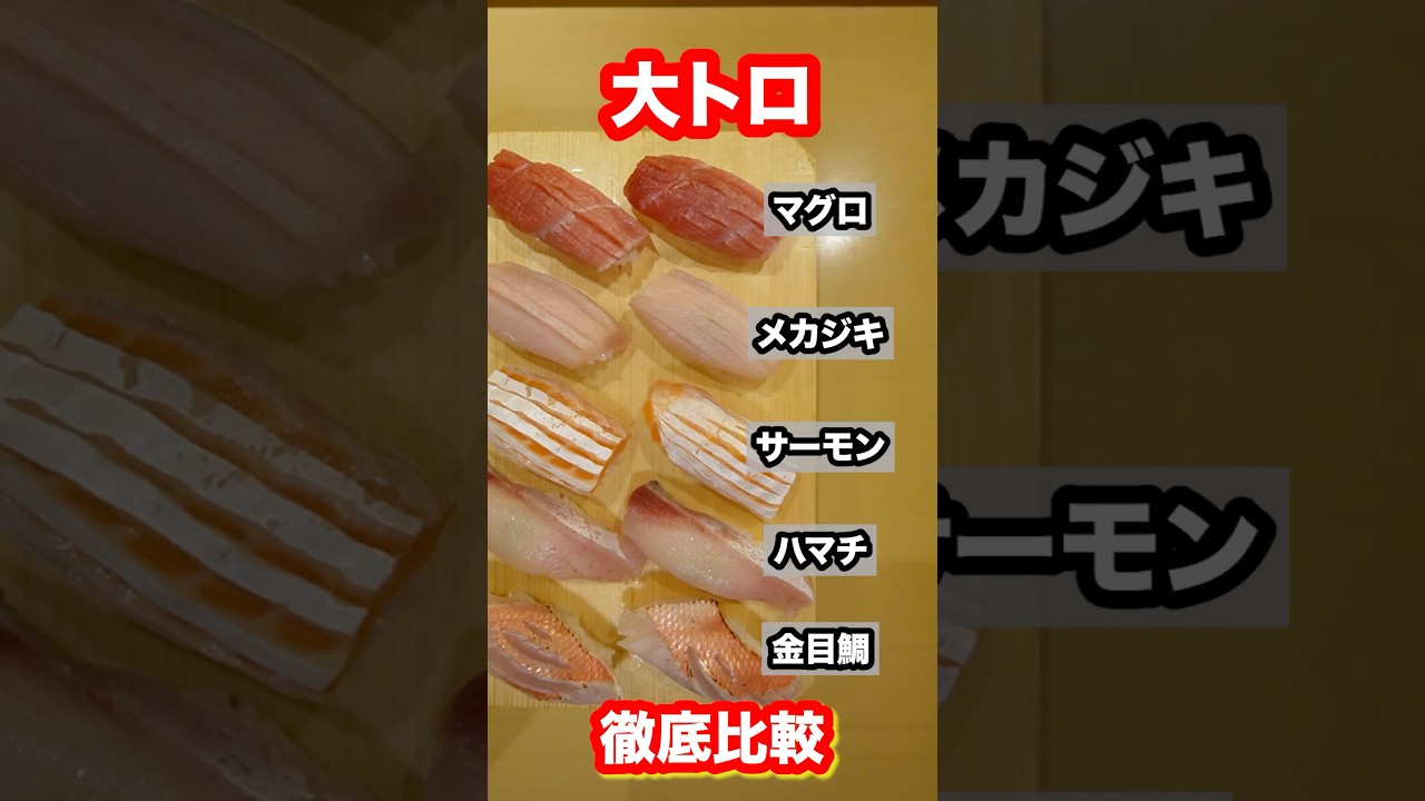 【徹底比較】なぜマグロ以外の魚の『大トロ』は寿司屋で見かけないのか？#shorts