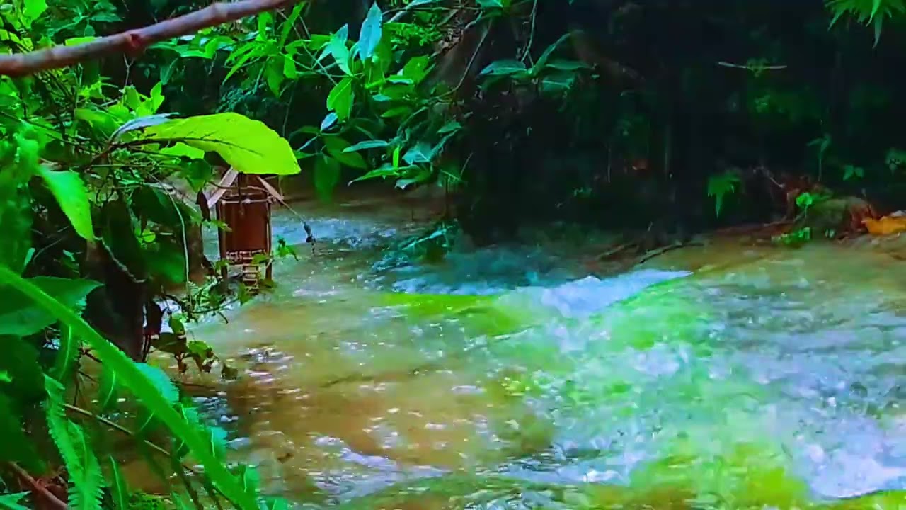 The secret stream in the heart of nature