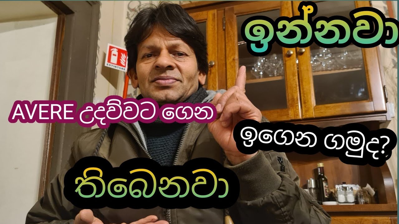 ඉන්නවා තියෙනවා AVERE   (To have)             උදව්වට ගෙන ඉතාලියෙන් ඉගෙන ගමුද?
