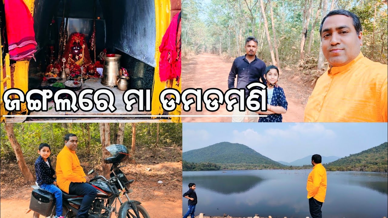 ଜଙ୍ଗଲ ଭିତରେ ମା l ଗାଁ ଓ ଜଙ୍ଗଲ l Damdamani Pitha l Gouranga nayak Odia vlogs