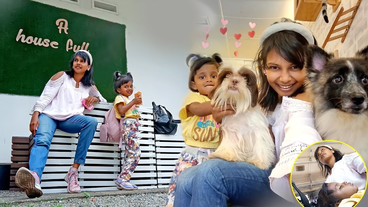 Dayvlog | බොන්න දුන්නේ බිම එකක්,බස් එකේ ඇඩුවා - අපේ පෙබරවාරි picnic එක #dayvlog