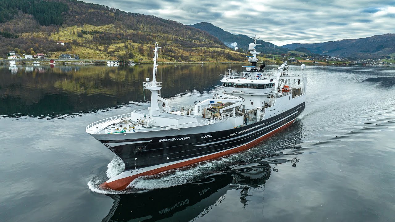 M/S 
