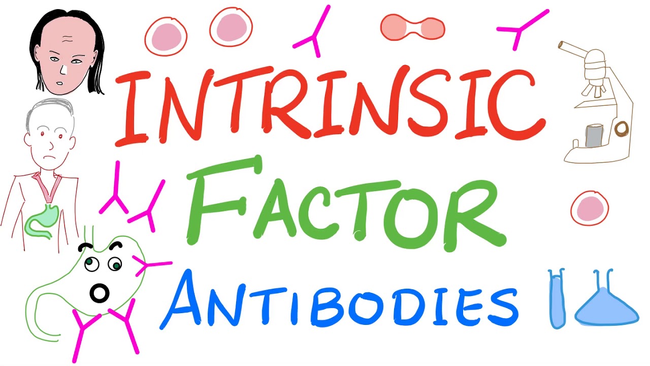 Intrinsic Factor Antibody Tests | Labs 🧪