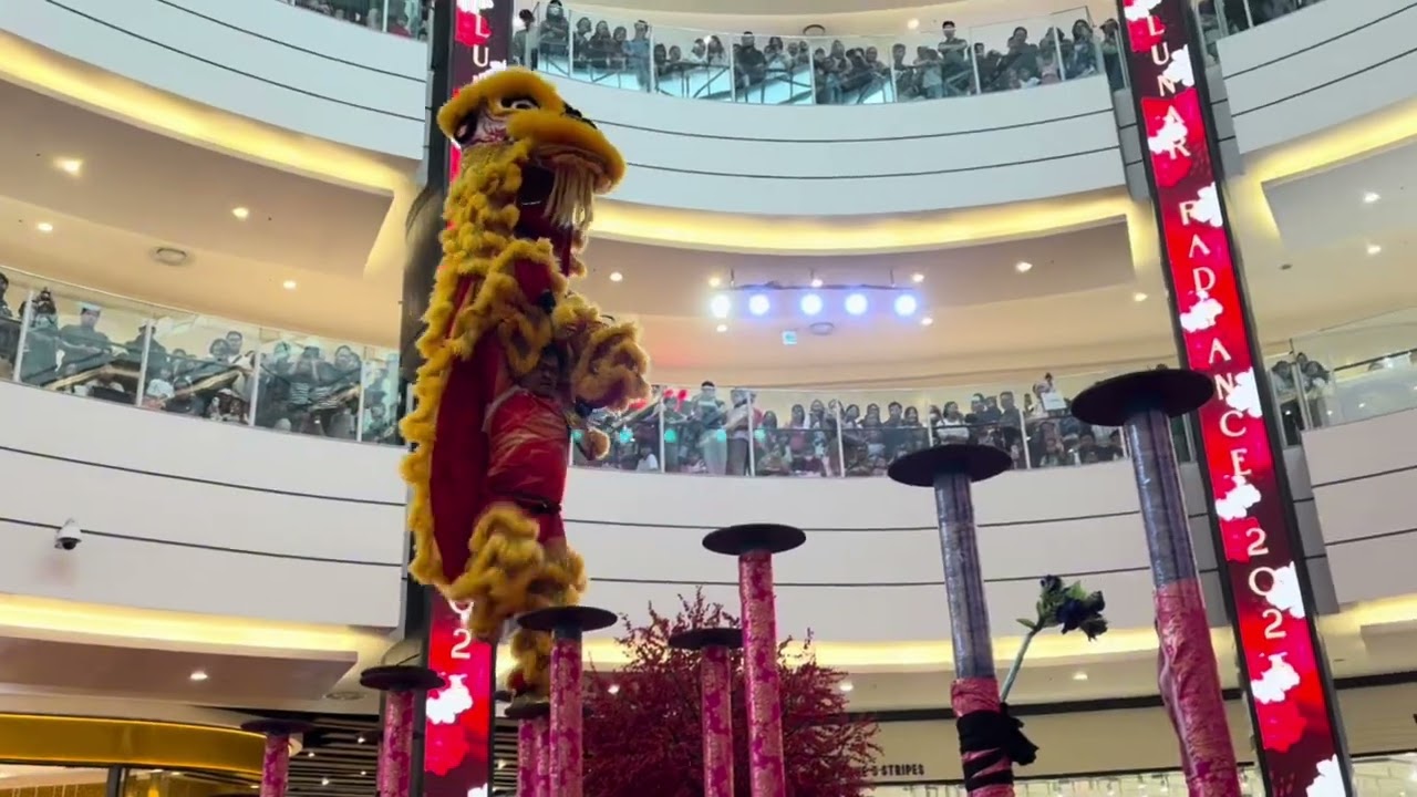 Barongsai di AEON mall BSD. Serem banget Barongsainya sempat jatuh.