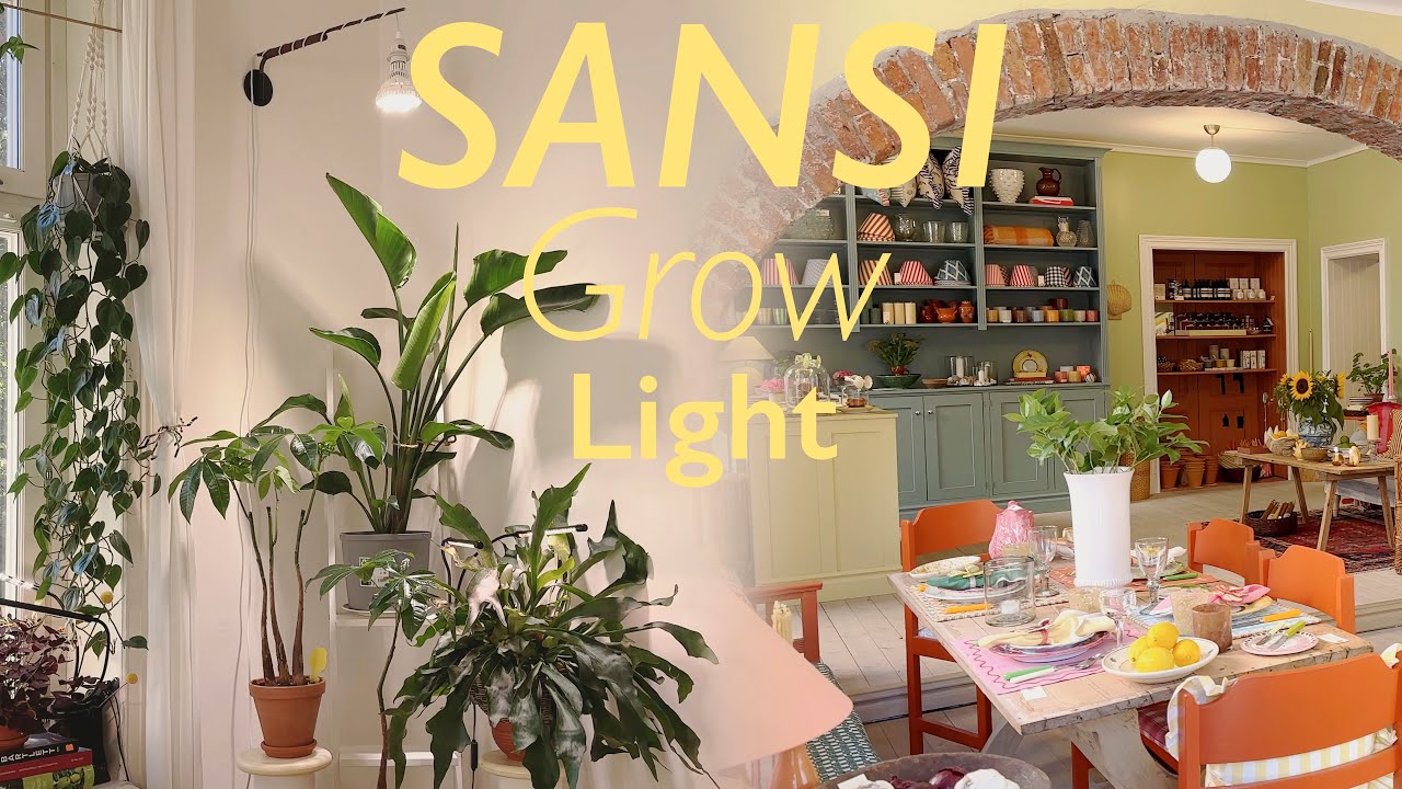 Easy Grow Light Setup for houseplants, SANSI 36W…