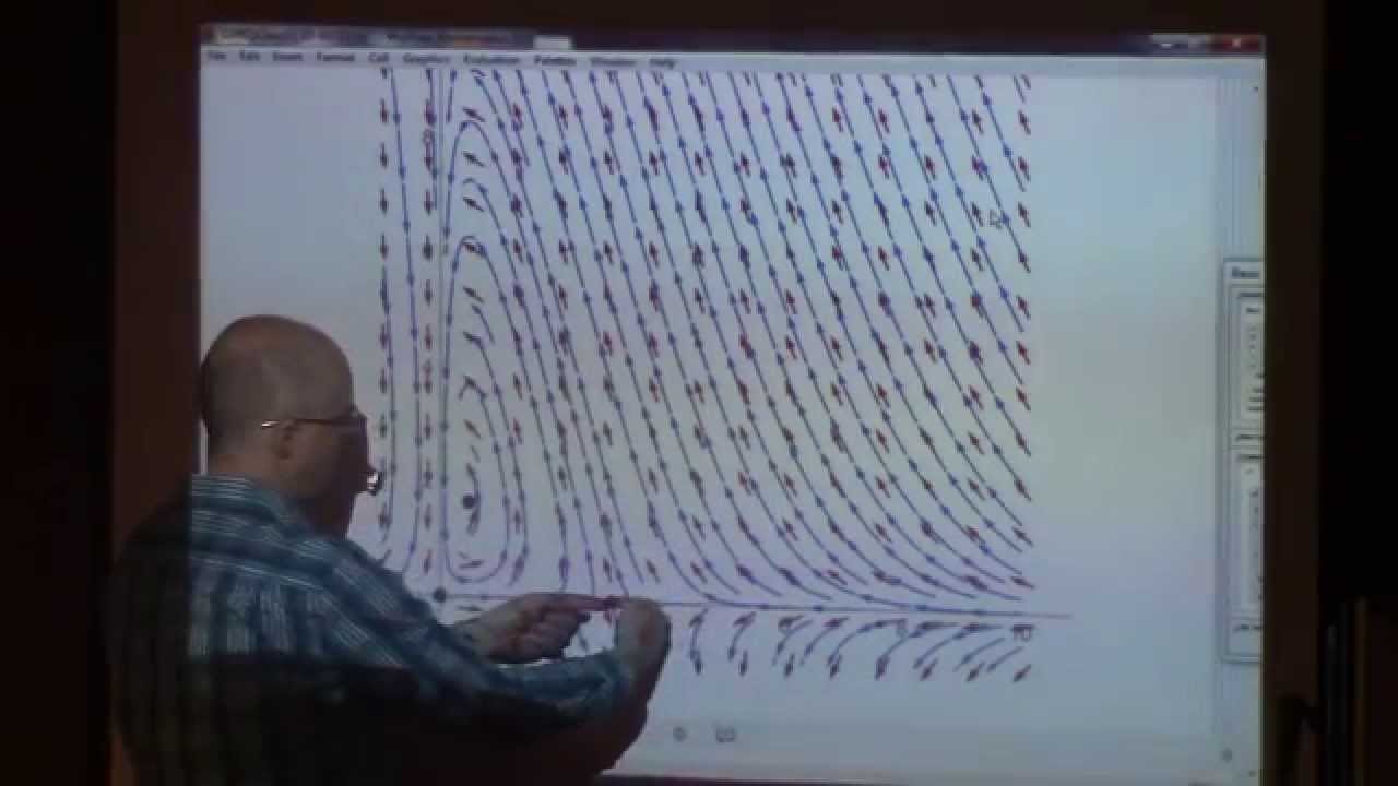 Diff Eqs Lect #12, Predator/Prey Model, Vector Fields and Direction Fields