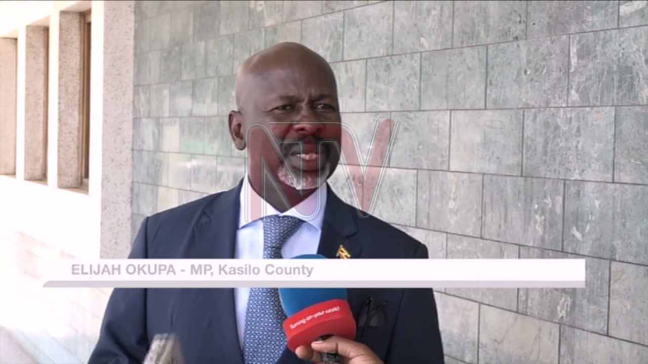 UPDF move into private security elicits mixed reactions