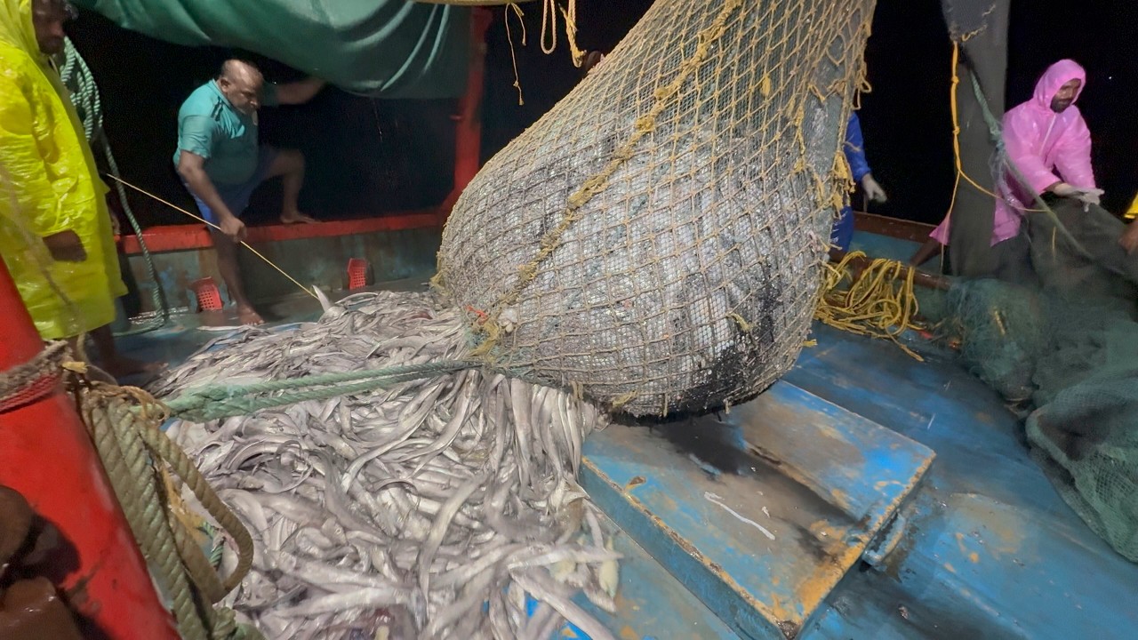 Amazing 🤩 INSANE Fishing Haul! One Net, 5 Tonnes of Giant Fish