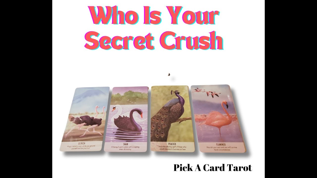 😎 Top Secret 😇 Who Is Your Secrect Admirer? Who Is Watching You? Pick A Card Tarot
