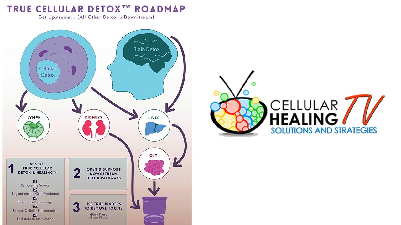 True Cellular Detox - CHTV 76