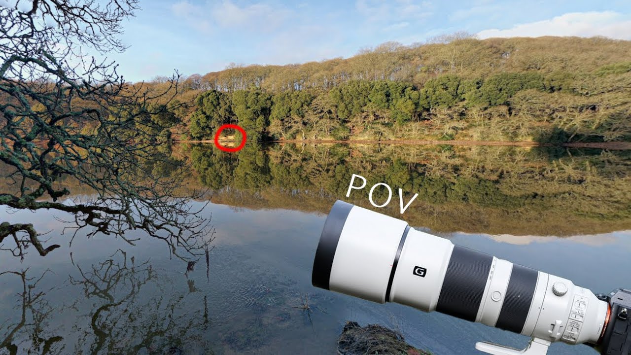 POV wildlife photography along a river - Cornwall, UK