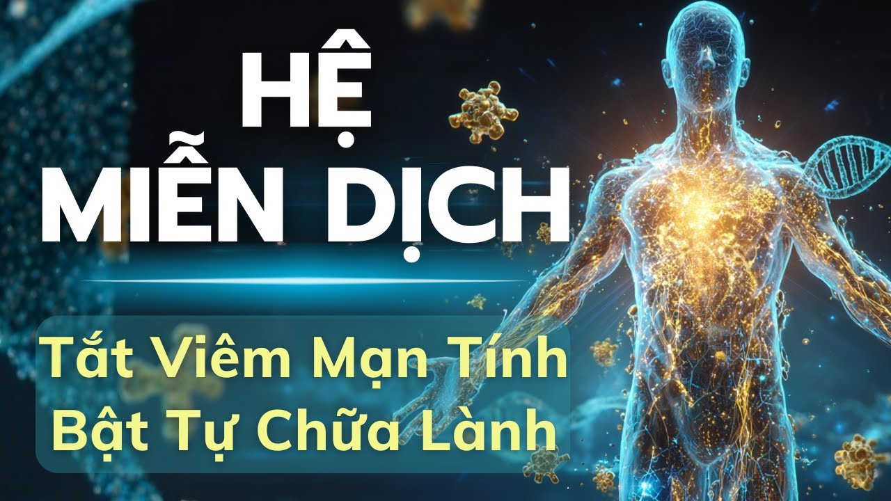 Khoa Học Hệ Miễn Dịch : Giảm Viêm Mạn Tính Bằng 3 Tín Hiệu Não-Ruột (Dây Phế Vị, Vi Sinh, Chu Kỳ)