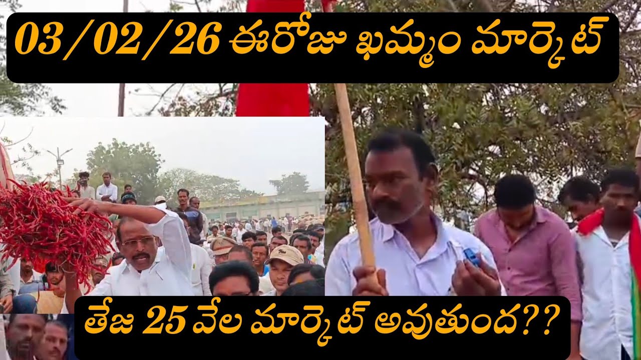 03-02-26 ఈరోజు ఖమ్మం మార్కెట్ యార్డు ధరలు Khamam market yard prices #mirchi #live 