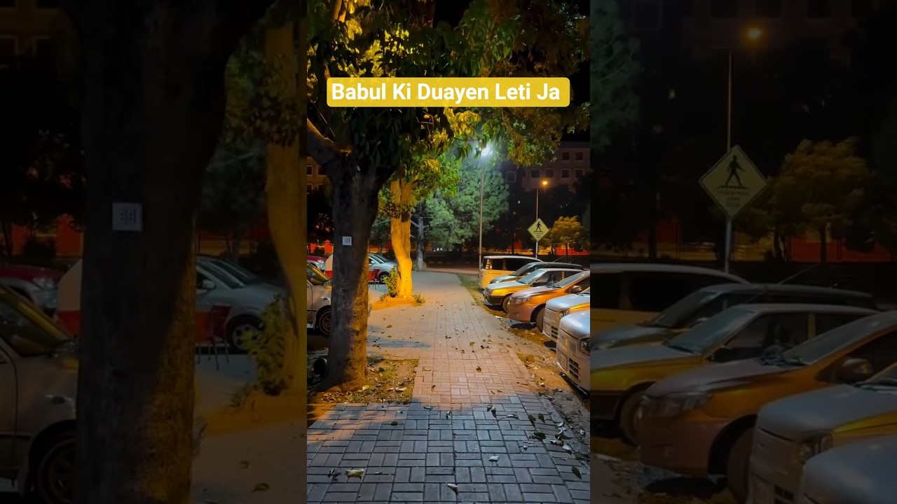 babul Ki Duayen Leti Ja | Mohd Rafi 