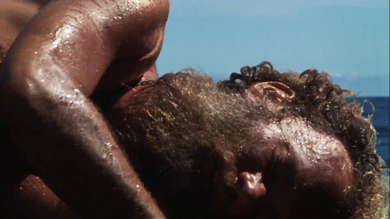 Cast Away  Chuck Noland Found by ship