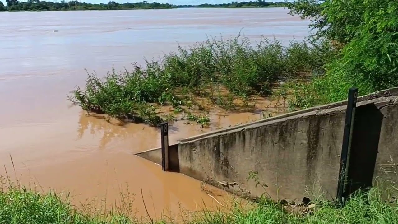 Río são Francisco em manga MG 