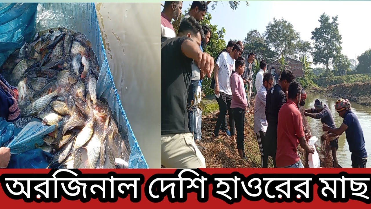 দেশি মাছ#vlog#video 