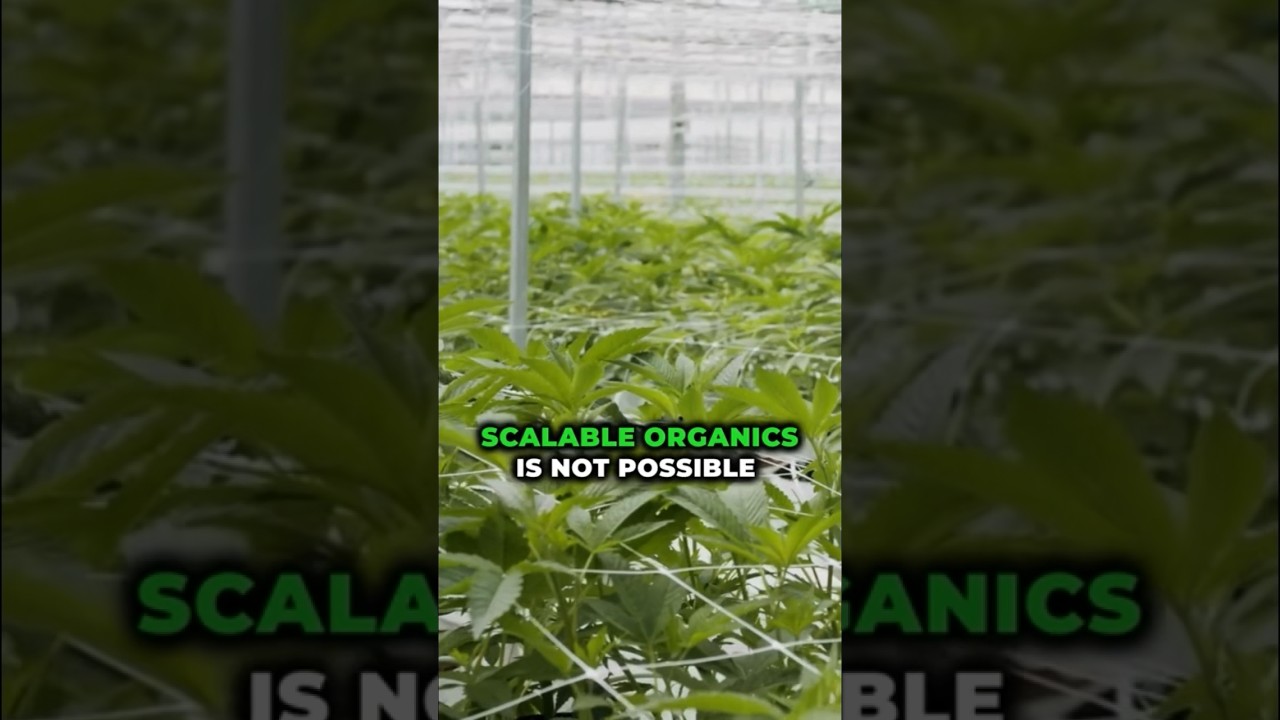 Fertigation Friendly Organics