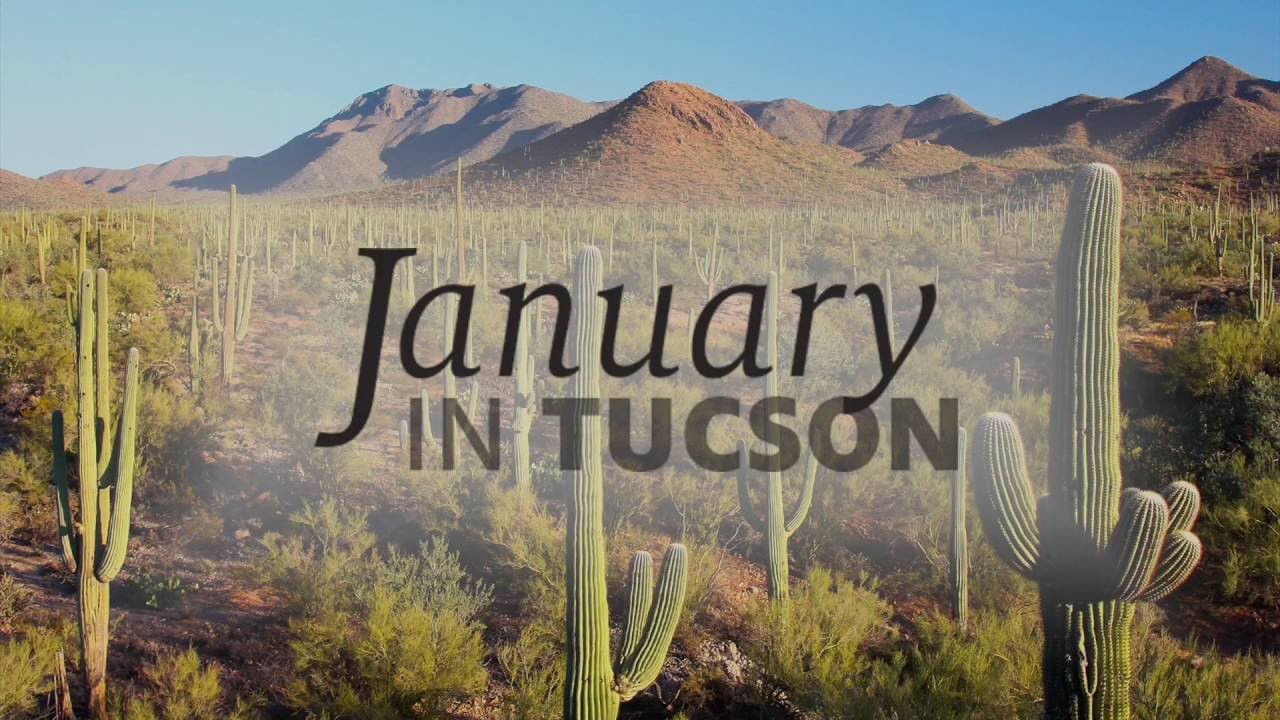 January In Tucson Indigenous Governance Program 2016