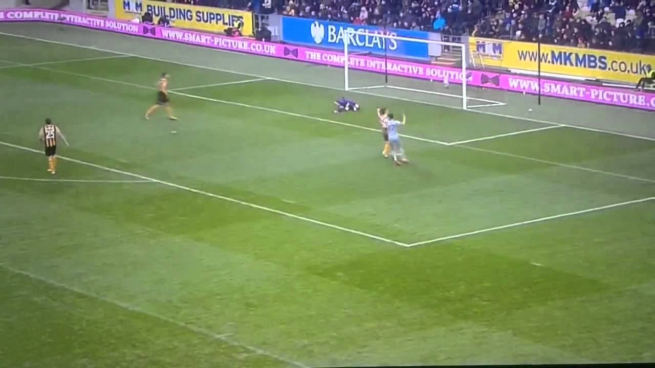 Hull City 0 vs 3 Newcastle United 31/1/15
