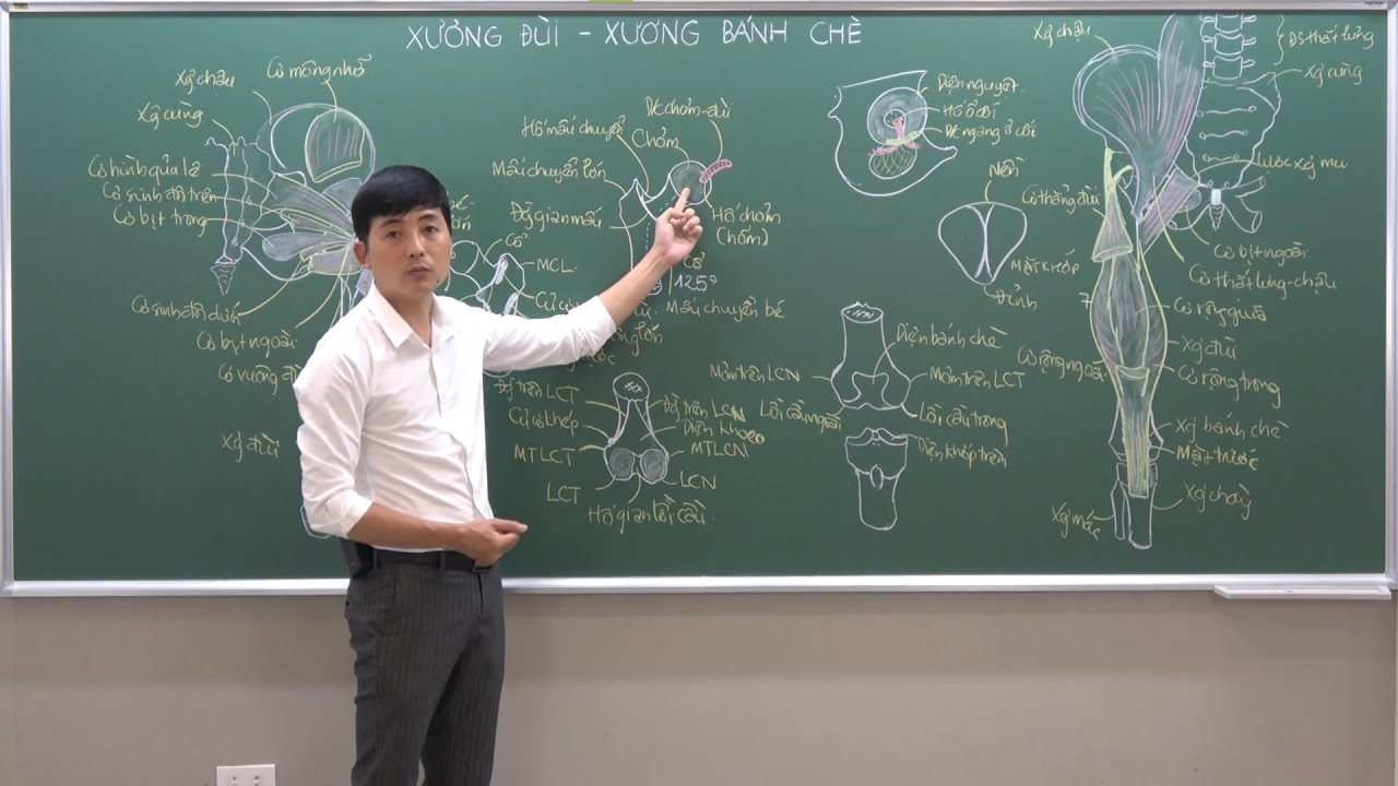 CHI DƯỚI: XƯƠNG ĐÙI VÀ XƯƠNG BÁNH CHÈ