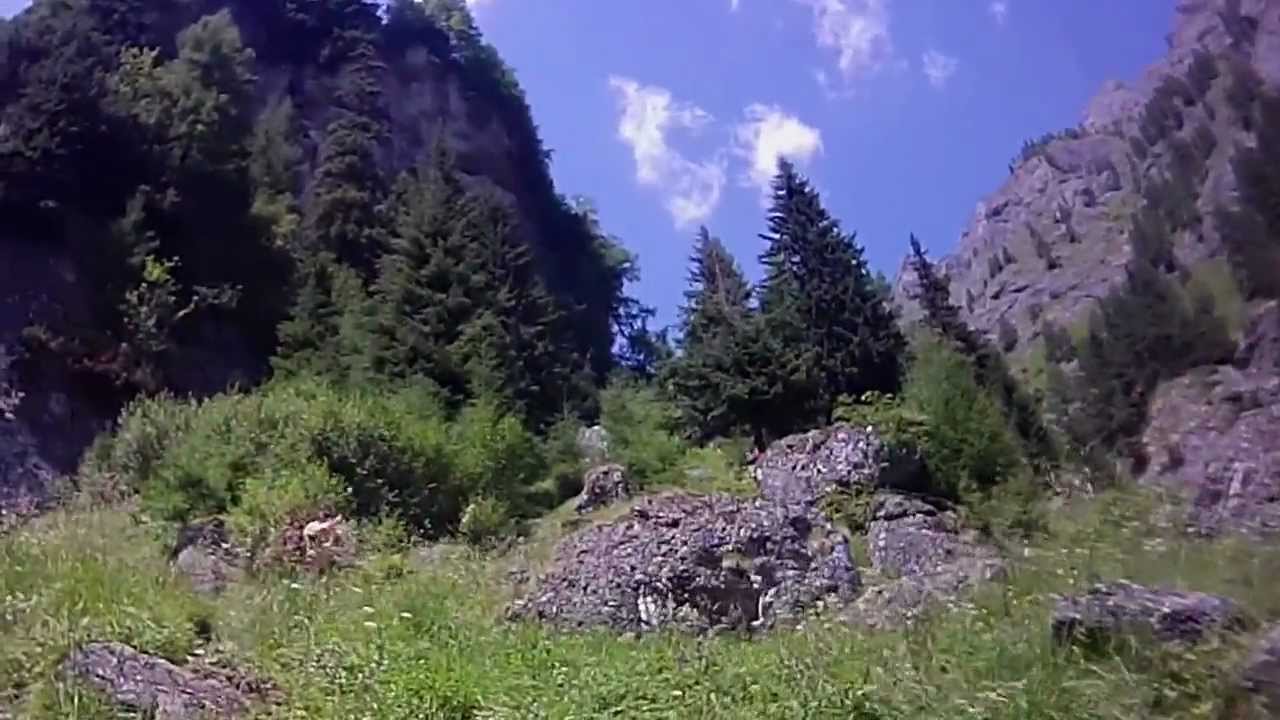 Tura Valea Cerbului - Varfu Omu - 15 iulie 2012  - 3