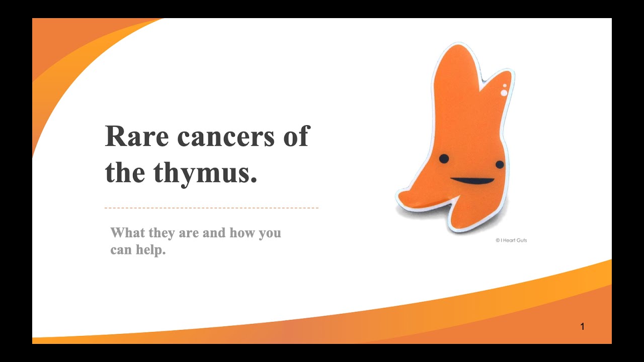 Rare cancers of the thymus. What they are and how you can help.