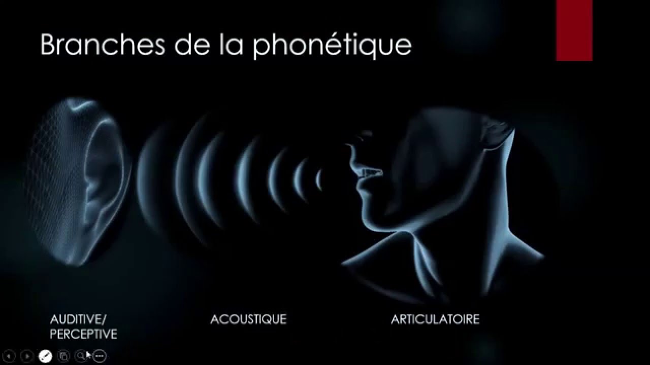 PCA - Phon&eacute;tique Corrective et Articulatoire - Niveau L1 - Cours 01