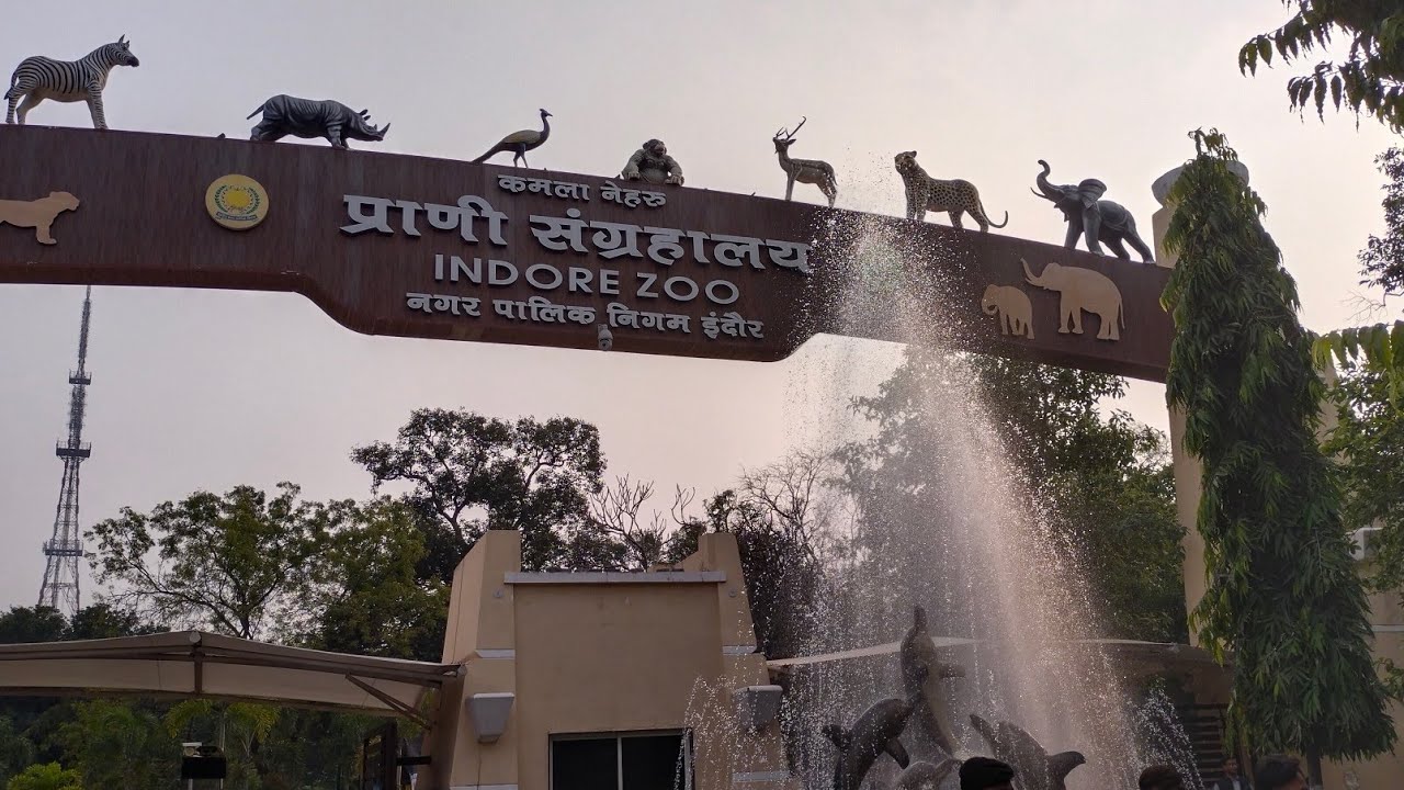 indore zoo vlog // 