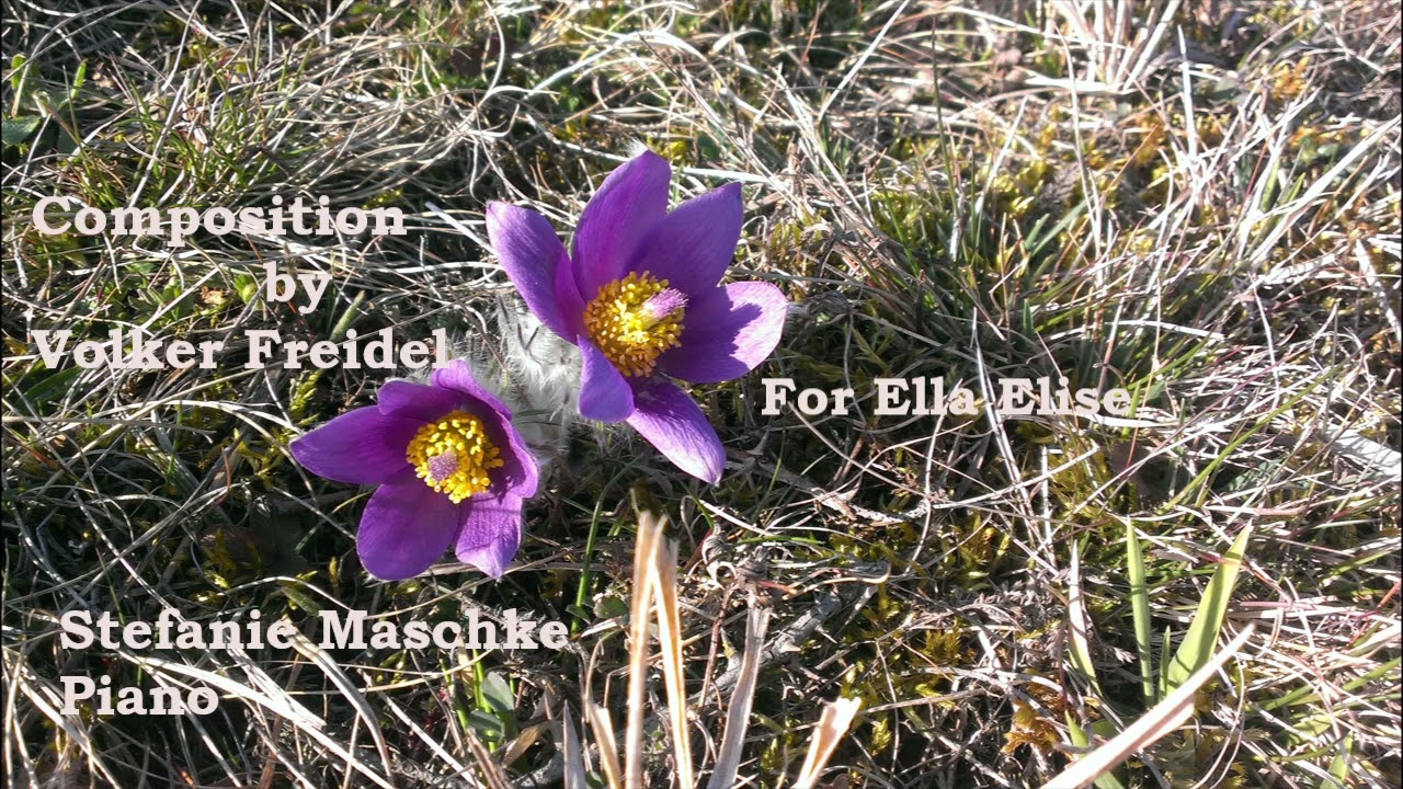 F&uuml;r Ella Elise ; (for Ella Elise)