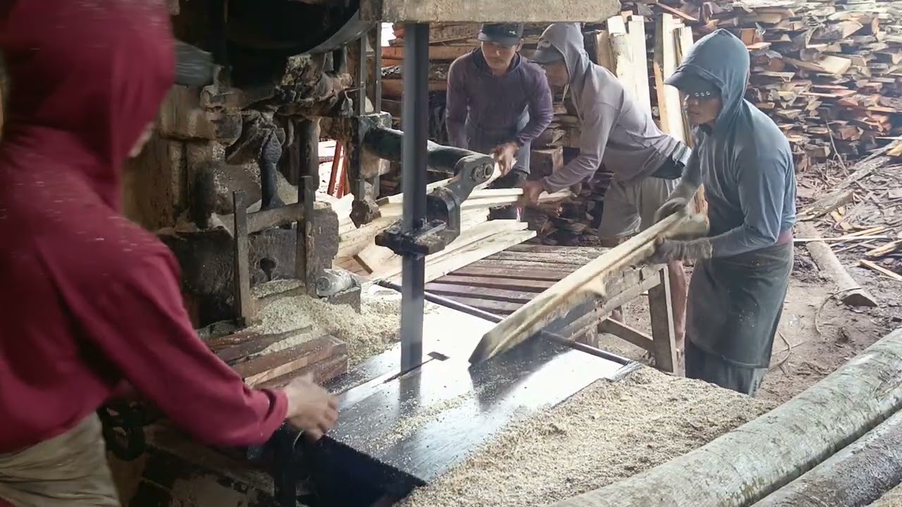 HASILNYA LUAR BIASA POTONG PAPAN CIWI