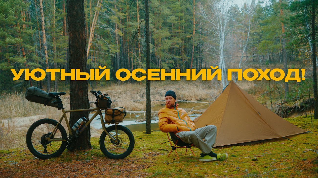 Ноябрь, сибирский лес и внезапная встреча – АТМОСФЕРНЫЙ ПОХОД!